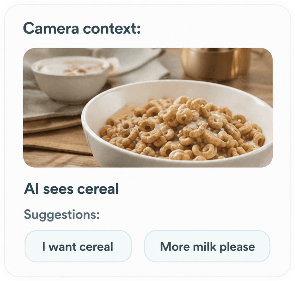 Camera context panel showing cereal suggestions
